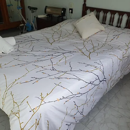 Cozy Casco Antiguo Centro Catedral Appartement